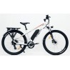 CycleDenis Trekker 275, disponible dans les magasins AC-Emotion CycleDenis Trekker 275, disponible dans les magasins AC-Emotion