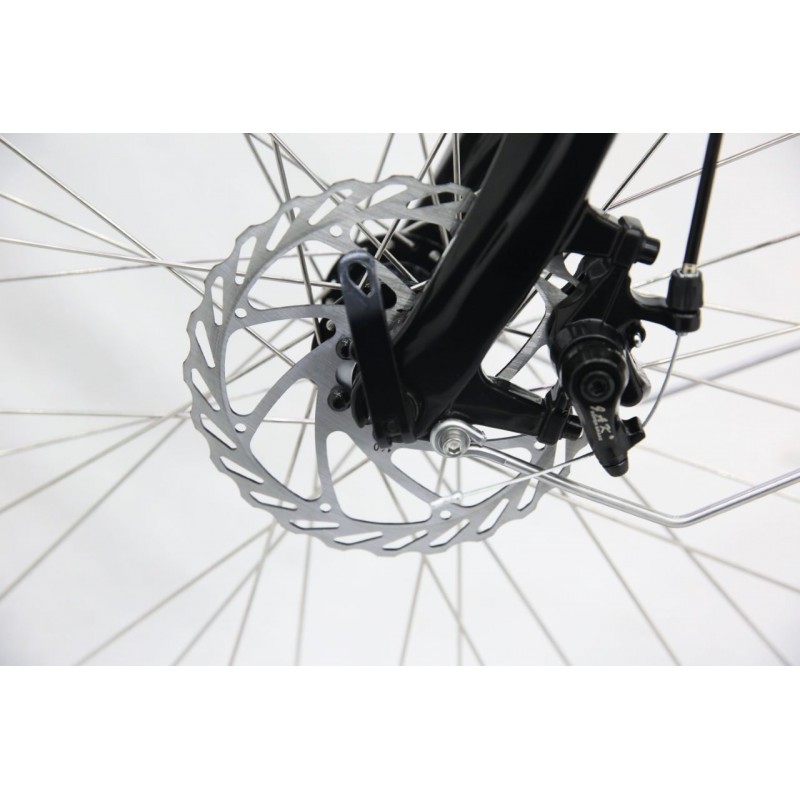 Vélo électrique CycleDenis Lutecia