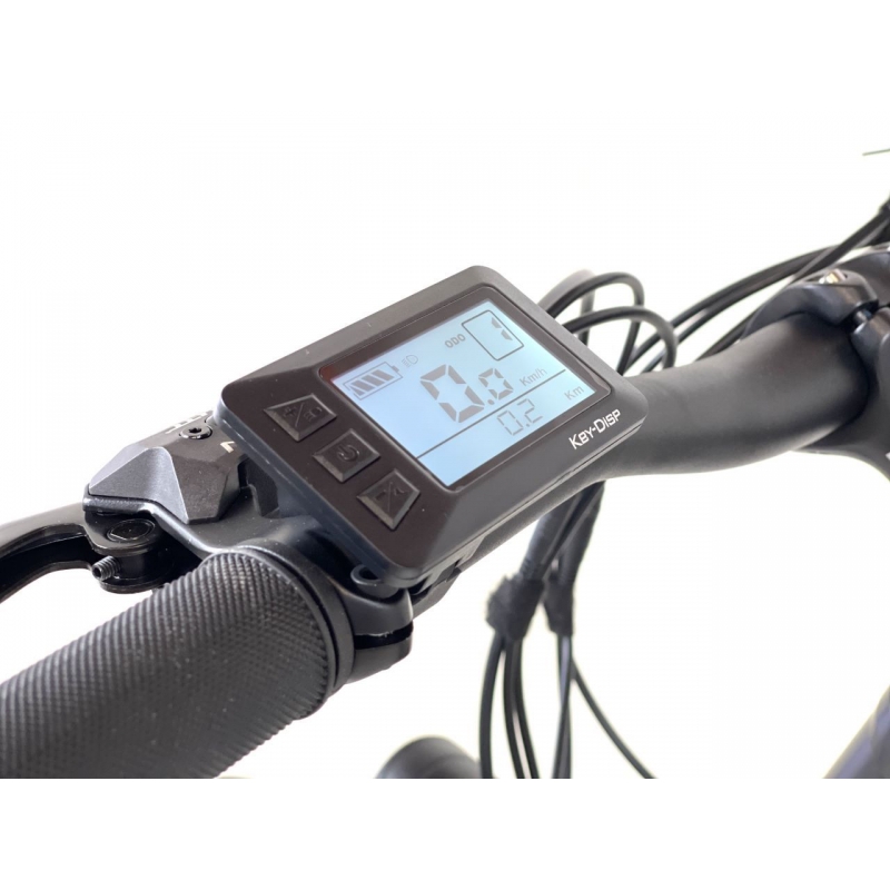 Vélo électrique tout chemin - Cycle Denis Trekker - disponible chez Ac-Emotion