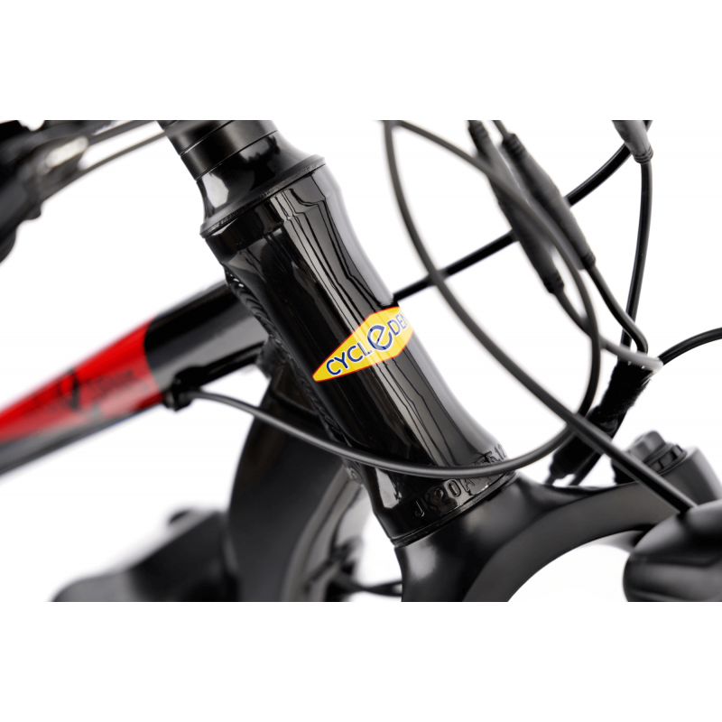 CycleDenis Ranger Rouge - Vélo électrique Tout Chemin disponible chez Ac-Emotion