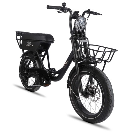 vélo électrique FatBike Troy Diablo noir mat, disponible chez AC-Emotion