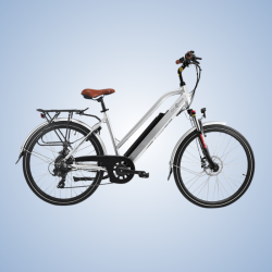 Cycle Denis Lutecia 26 -...