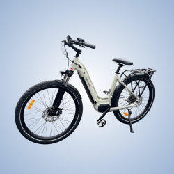 CycleDenis Winner, Moteur...