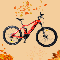 CycleDenis ACE 2, VTT...